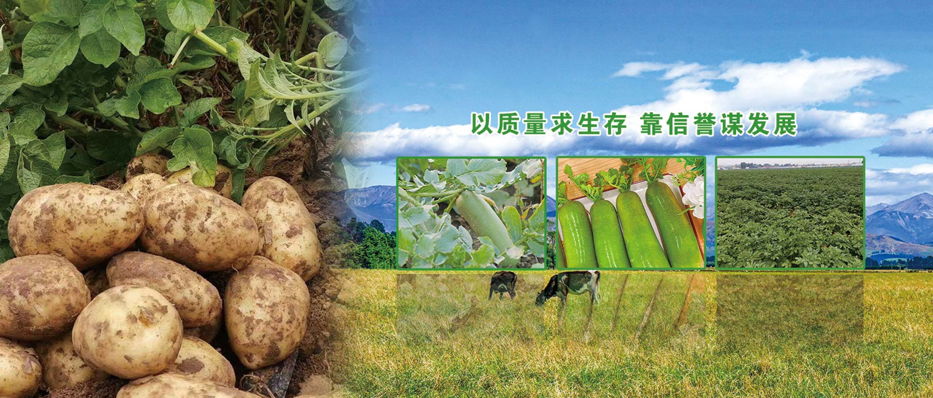 潍坊恒祥养殖有限公司